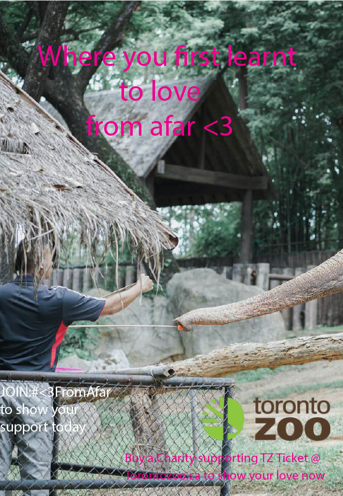 Print Ad for the Toronto Zoo Ad Campaign